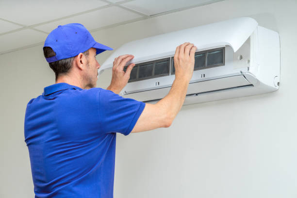 Best Affordable Duct Cleaning Services  in Tarpey Village, CA