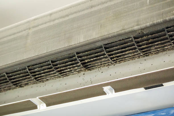 Best HVAC Air Duct Cleaning  in Tarpey Village, CA