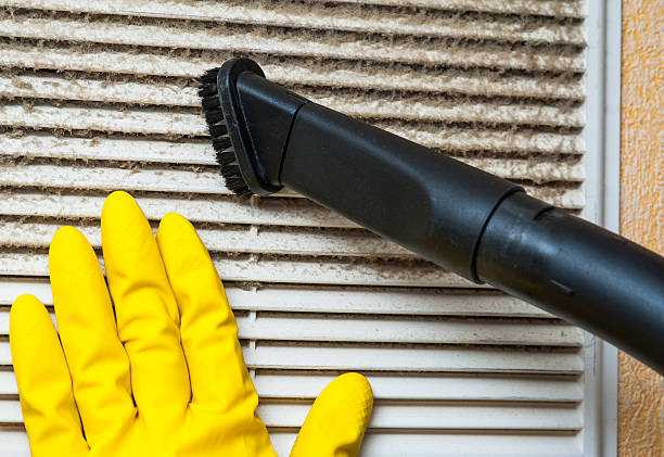 Best Affordable Duct Cleaning Services  in Tarpey Village, CA